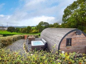 2 Bed in Corwen 80318